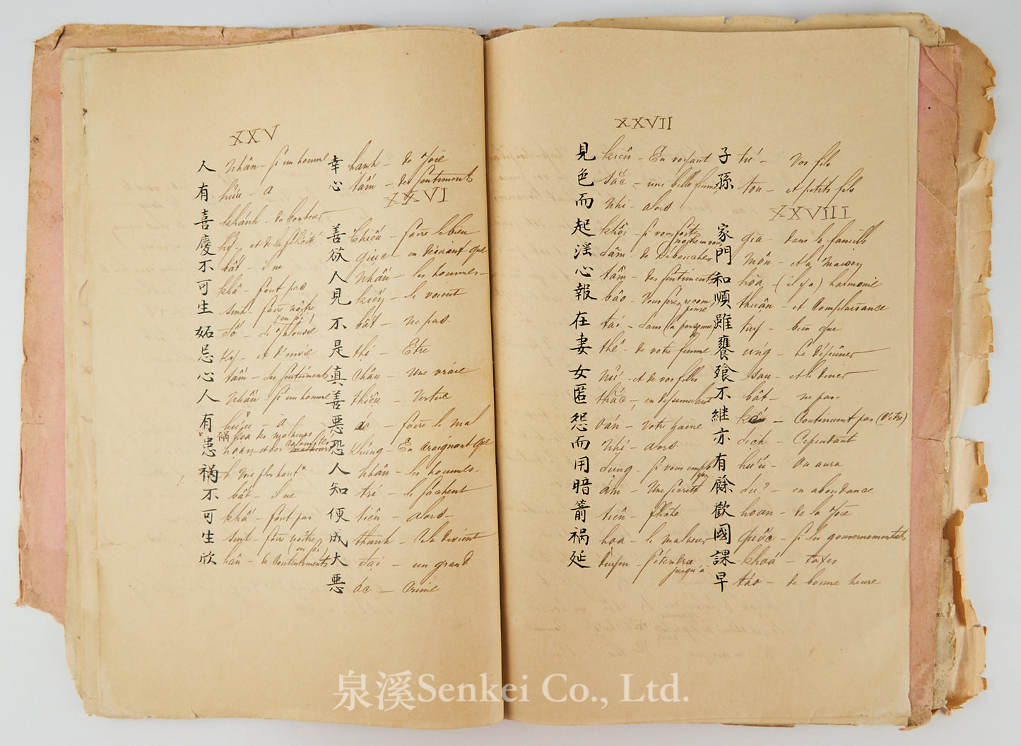 Ca. 1880 Manuscript of Les Instructions Familières du Dr. Tchou Pô-lou by Camille Imbault-Huart | Includes an Additional Chinese-French Vocabulary Manuscript