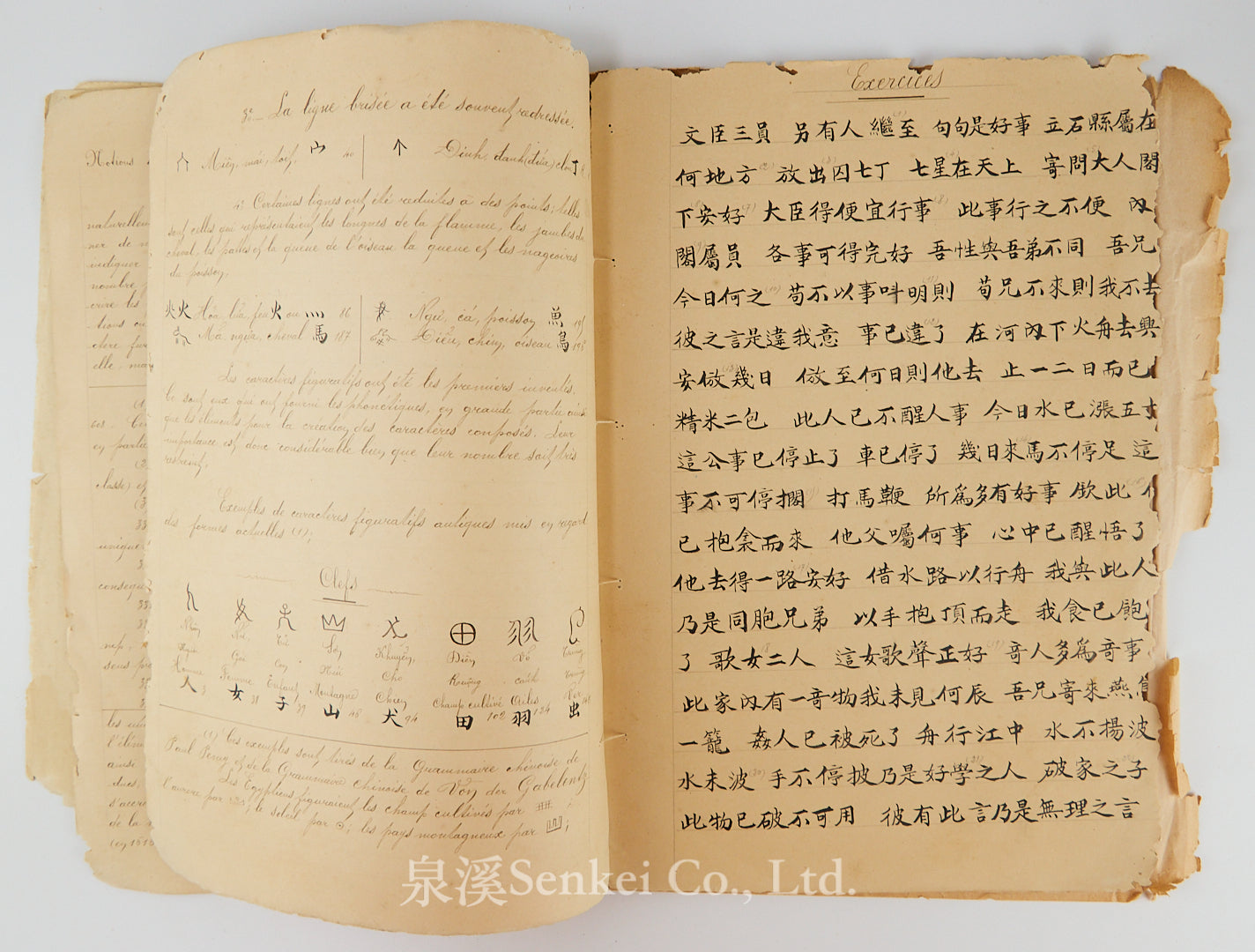 Ca. 1880 Manuscript of Les Instructions Familières du Dr. Tchou Pô-lou by Camille Imbault-Huart | Includes an Additional Chinese-French Vocabulary Manuscript