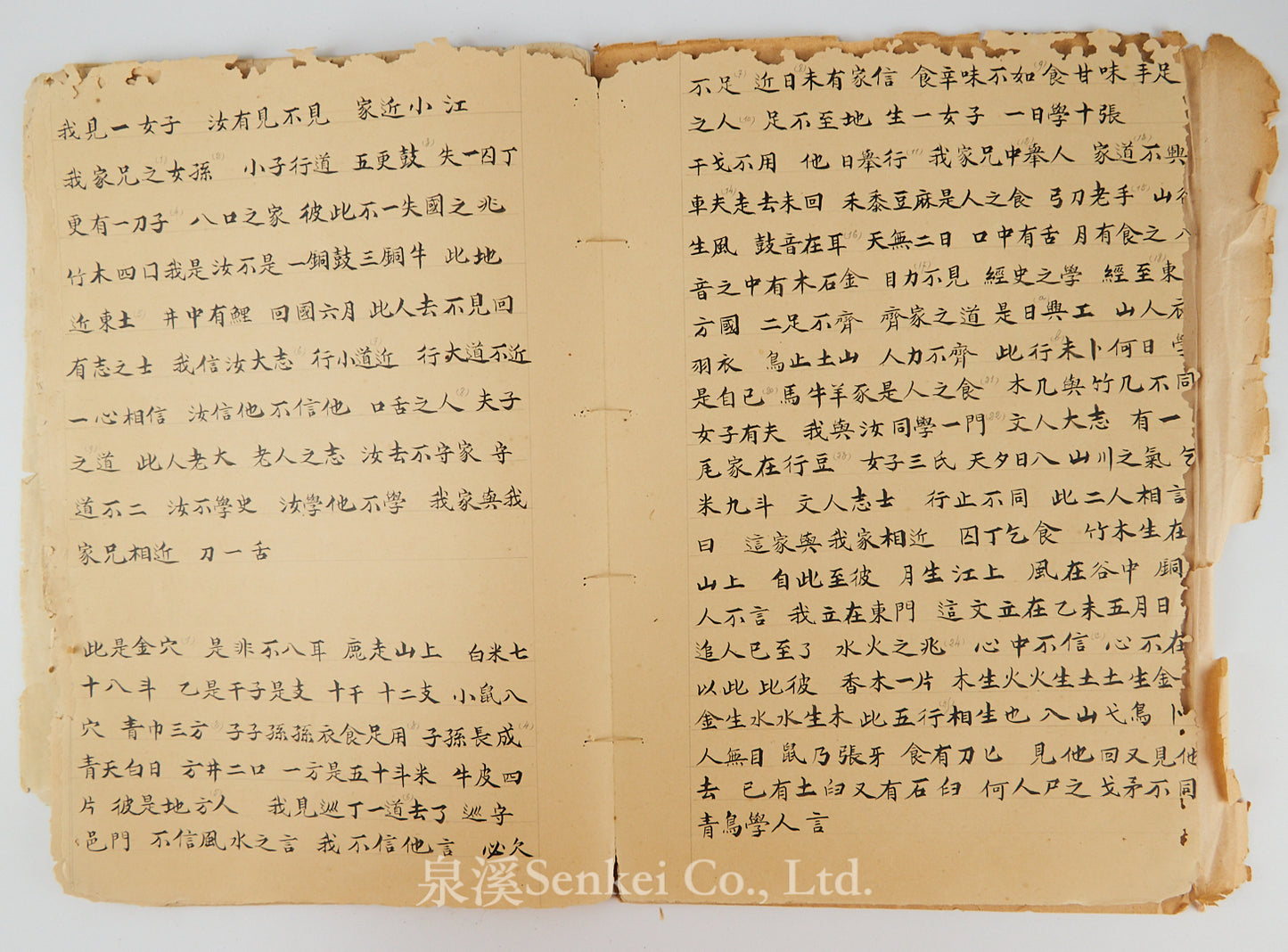 Ca. 1880 Manuscript of Les Instructions Familières du Dr. Tchou Pô-lou by Camille Imbault-Huart | Includes an Additional Chinese-French Vocabulary Manuscript