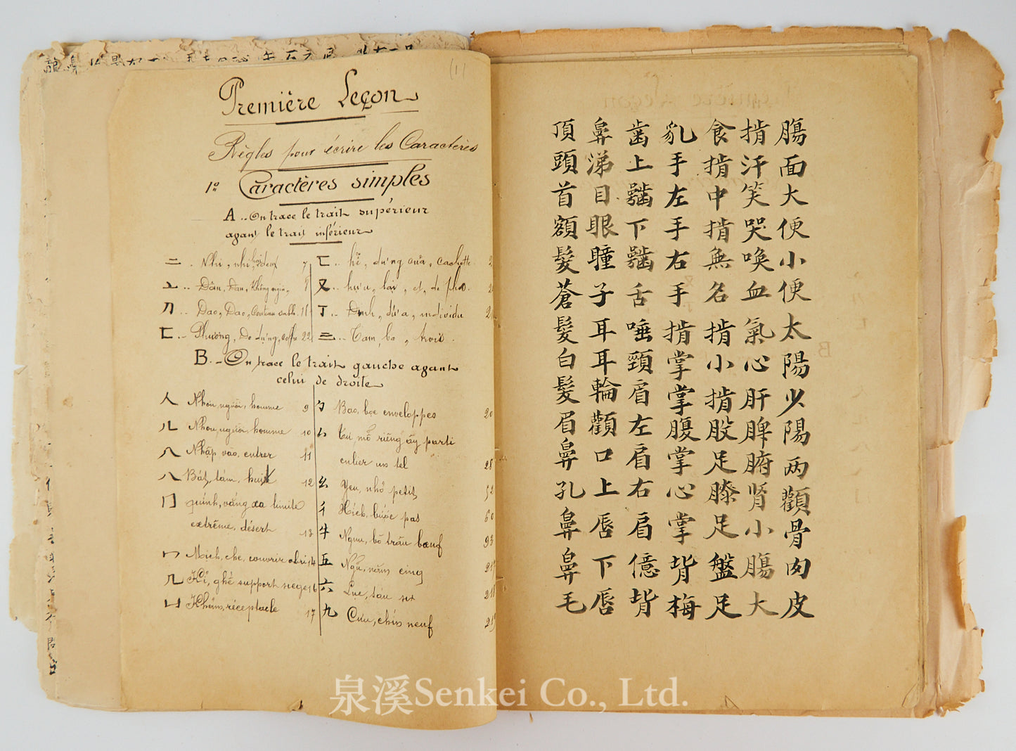 Ca. 1880 Manuscript of Les Instructions Familières du Dr. Tchou Pô-lou by Camille Imbault-Huart | Includes an Additional Chinese-French Vocabulary Manuscript