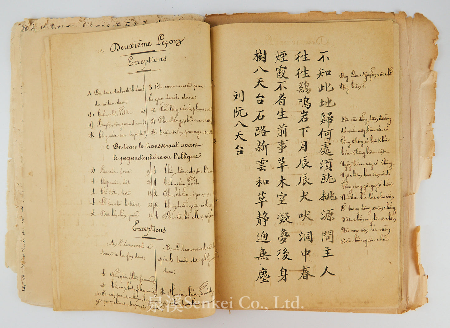 Ca. 1880 Manuscript of Les Instructions Familières du Dr. Tchou Pô-lou by Camille Imbault-Huart | Includes an Additional Chinese-French Vocabulary Manuscript