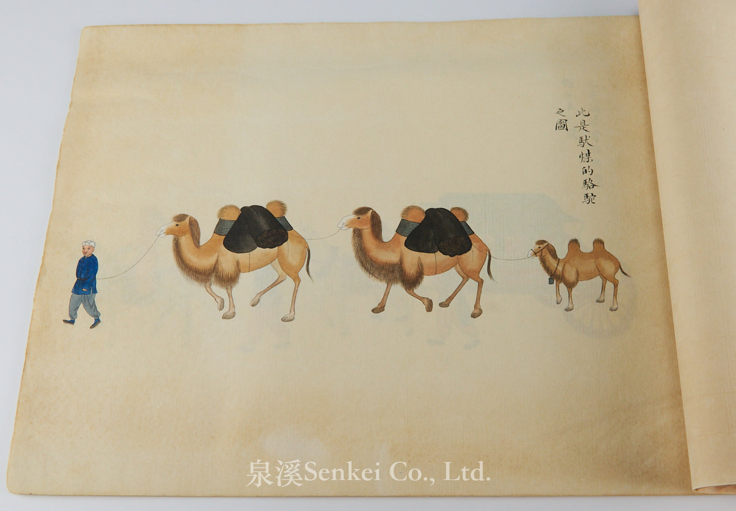 A Late Qing Chinese Album of Fine Folk Paintings, Depicting Carriages, Carts, and Sedan Chairs by Zhou Qiliang, Son of Zhou Peichun