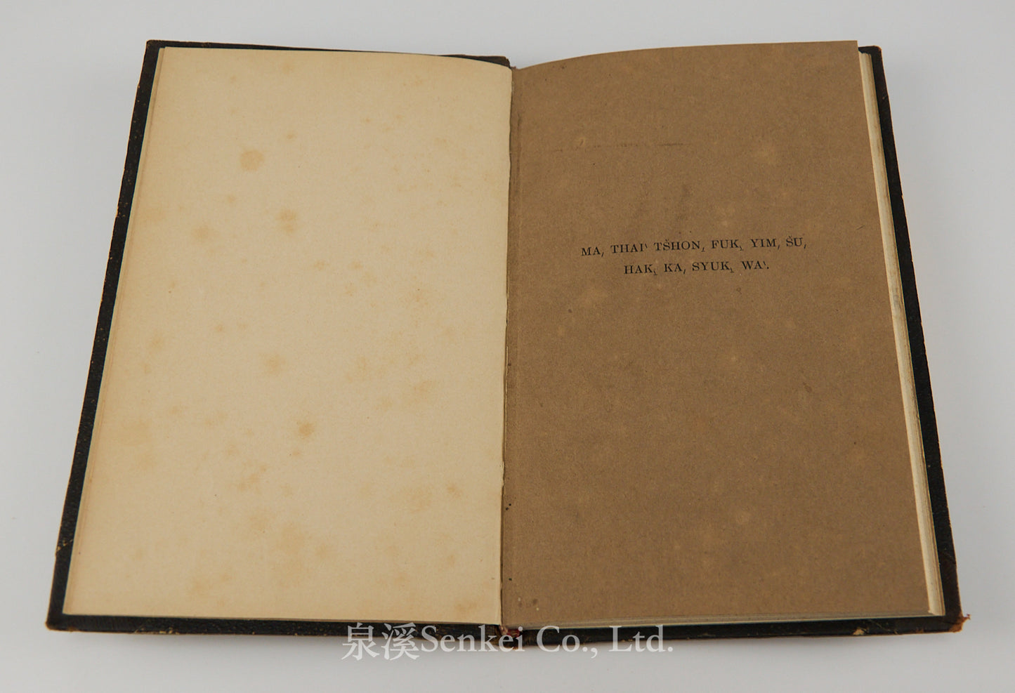 Das Evangelium des Matthaeus im Volksdialekte der Hakka-Chinesen : Ma, thai ̀tšhon, fuk, yim, šu, hak, ka, syuk, wa ̀| The Gospel of Matthew in romanized Hakka Chinese 1860