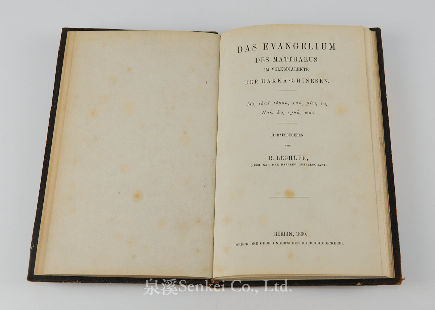 Das Evangelium des Matthaeus im Volksdialekte der Hakka-Chinesen : Ma, thai ̀tšhon, fuk, yim, šu, hak, ka, syuk, wa ̀| The Gospel of Matthew in romanized Hakka Chinese 1860