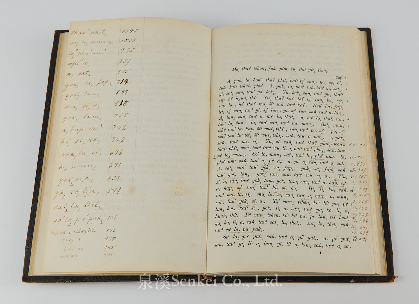 Das Evangelium des Matthaeus im Volksdialekte der Hakka-Chinesen : Ma, thai ̀tšhon, fuk, yim, šu, hak, ka, syuk, wa ̀| The Gospel of Matthew in romanized Hakka Chinese 1860