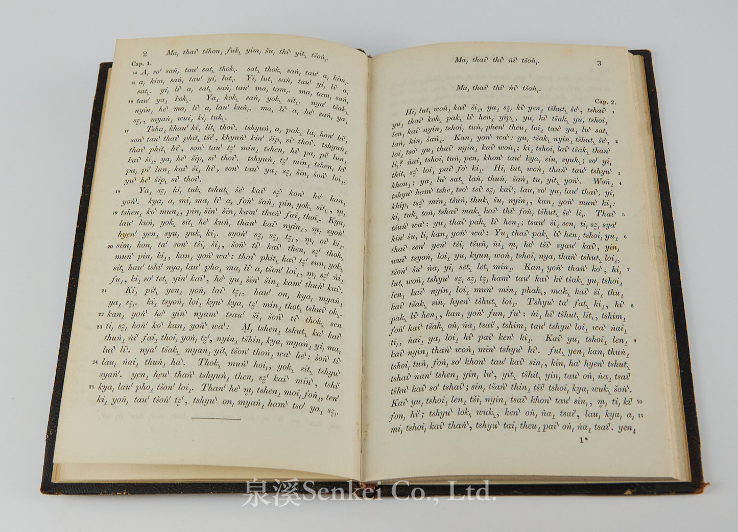 Das Evangelium des Matthaeus im Volksdialekte der Hakka-Chinesen : Ma, thai ̀tšhon, fuk, yim, šu, hak, ka, syuk, wa ̀| The Gospel of Matthew in romanized Hakka Chinese 1860