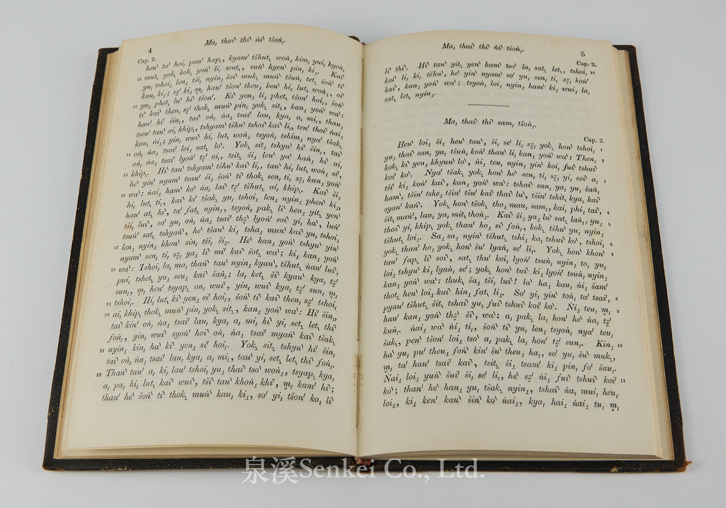 Das Evangelium des Matthaeus im Volksdialekte der Hakka-Chinesen : Ma, thai ̀tšhon, fuk, yim, šu, hak, ka, syuk, wa ̀| The Gospel of Matthew in romanized Hakka Chinese 1860
