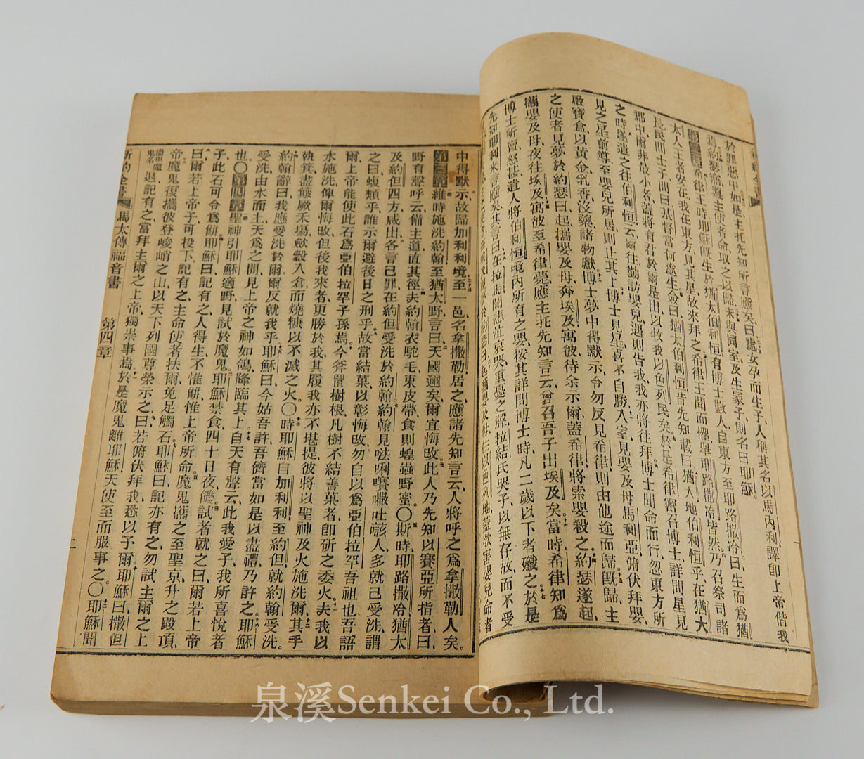 The New Testament (Delegates' Version) | London Missionary Society Press, Shanghai 1858