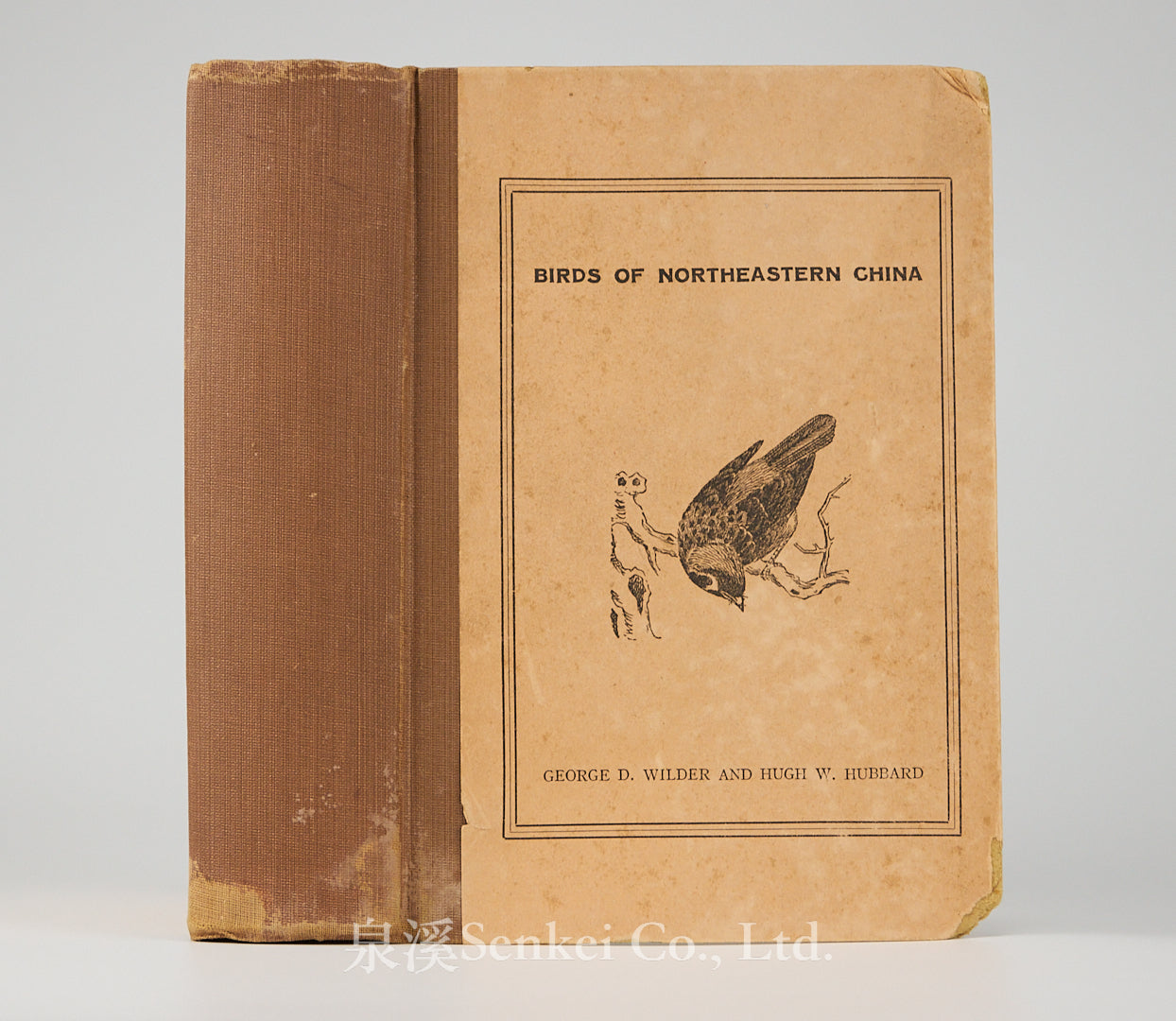 Birds of northeastern China : a practical guide based on studies made chiefly in Hopei Province