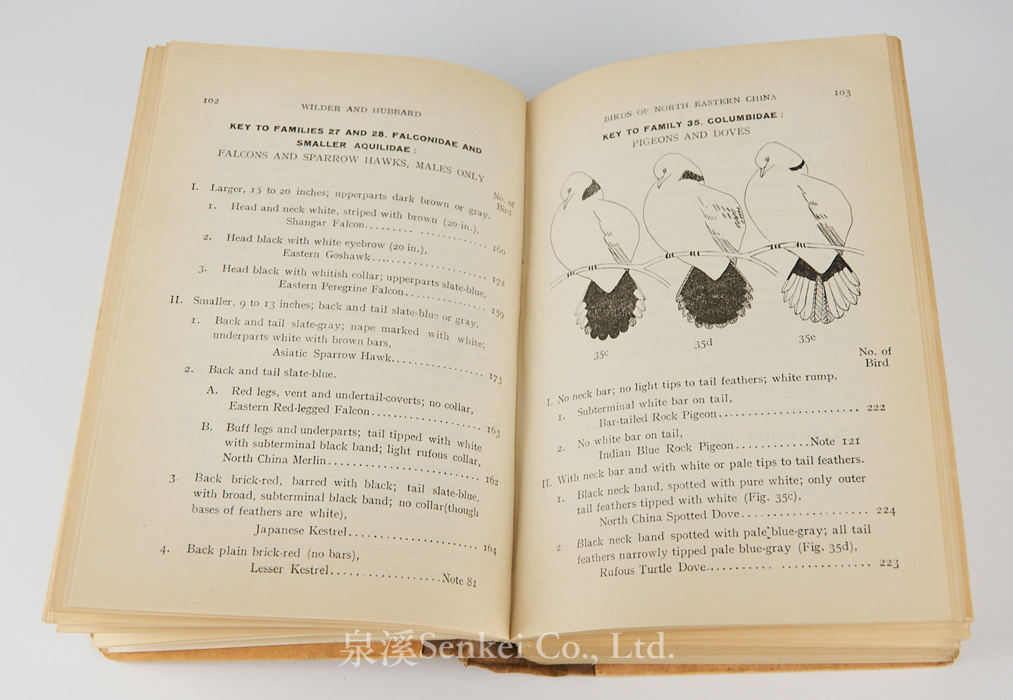 Birds of northeastern China : a practical guide based on studies made chiefly in Hopei Province