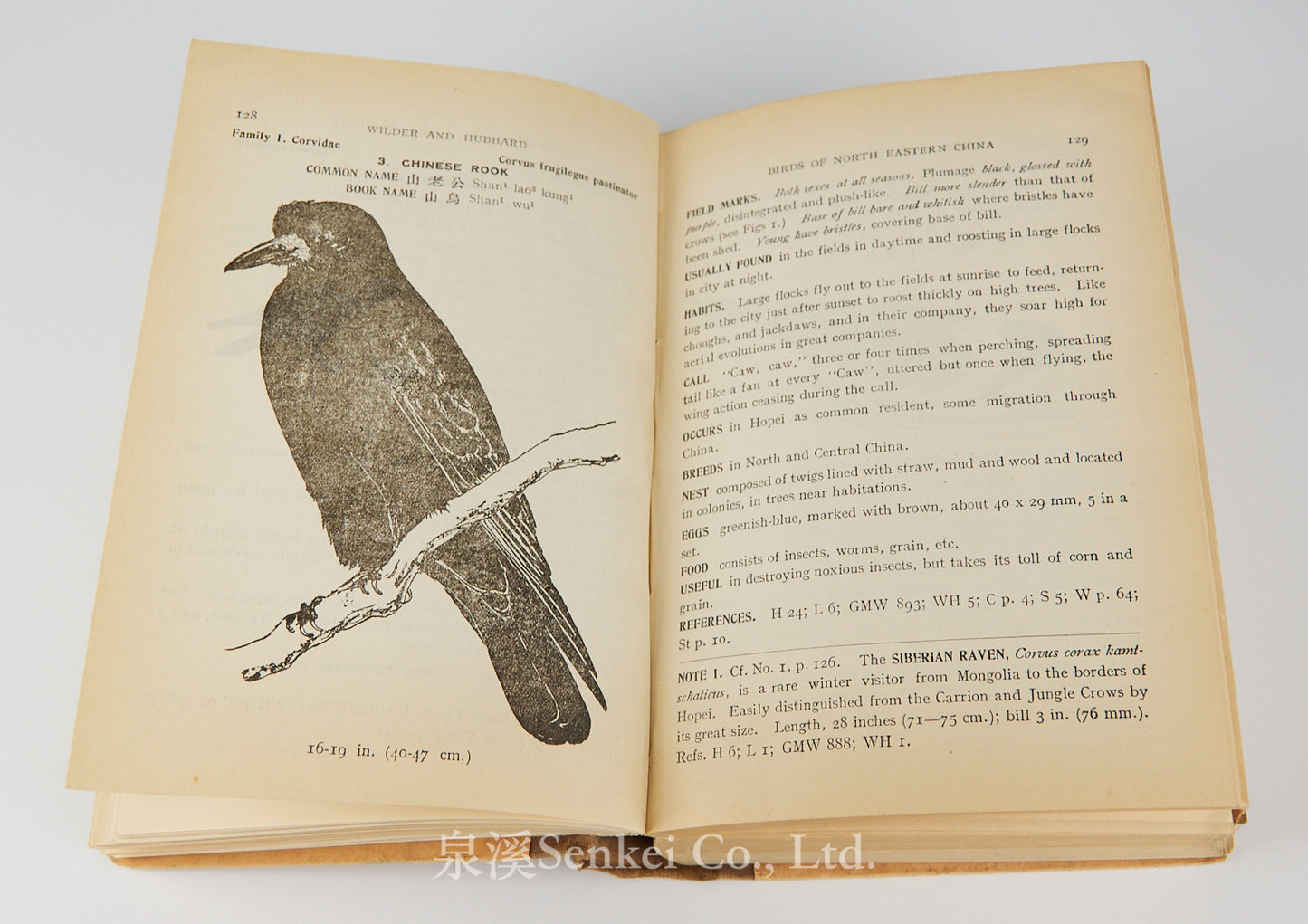Birds of northeastern China : a practical guide based on studies made chiefly in Hopei Province