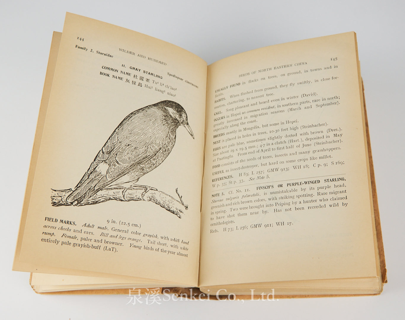 Birds of northeastern China : a practical guide based on studies made chiefly in Hopei Province