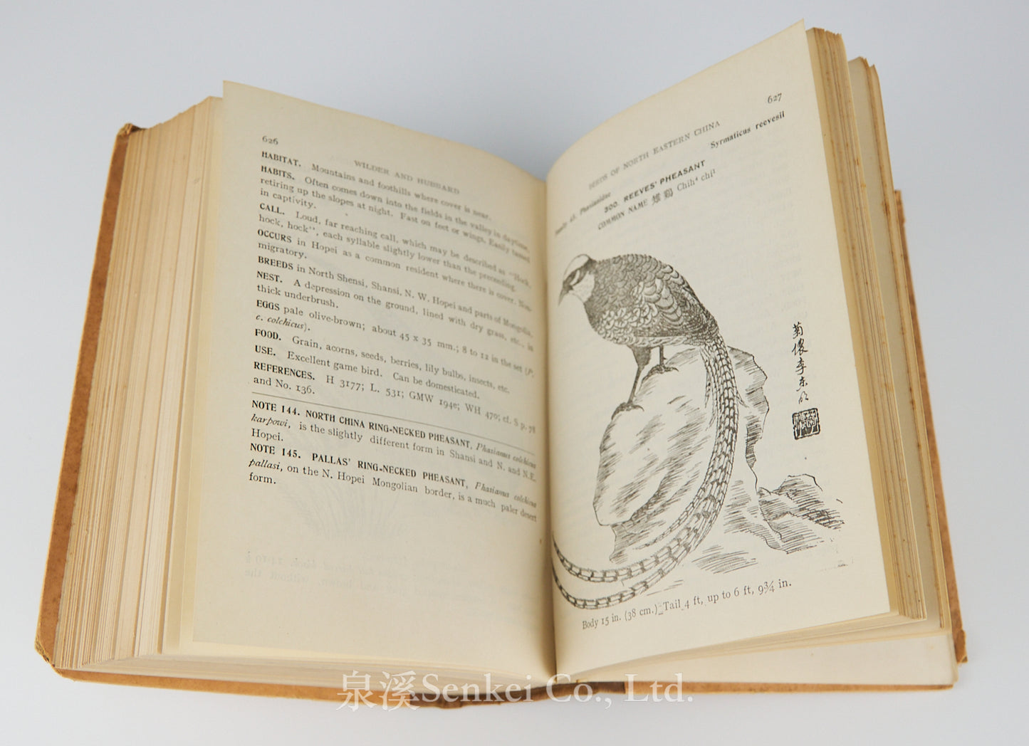 Birds of northeastern China : a practical guide based on studies made chiefly in Hopei Province