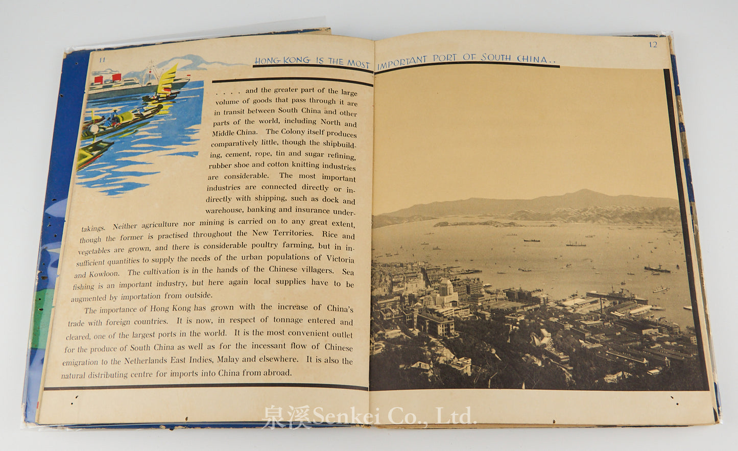 Hong Kong - Photographed and Depicted by Ellen Thorbecke, with Sketches by Schiff