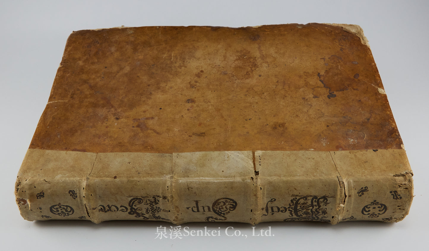 1576 Philippi Decii medioanensis iurisc. celeberrimi In Decretalium volumen perspicua commentaria : atque eiusdem lectura in titulum de privilegijs.