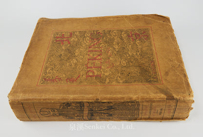 1897 Péking, Histoire et Description