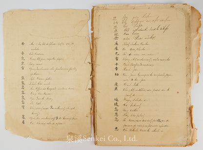 Ca. 1880 Manuscript of Les Instructions Familières du Dr. Tchou Pô-lou by Camille Imbault-Huart | Includes an Additional Chinese-French Vocabulary Manuscript