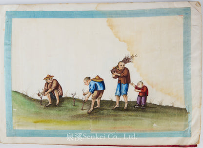 19th Century Canton Export Album – Twelve Rice Paper Paintings of Tea Production, Chinese School