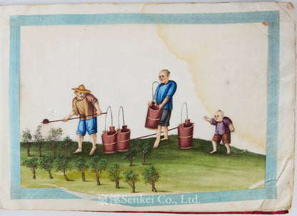 19th Century Canton Export Album – Twelve Rice Paper Paintings of Tea Production, Chinese School