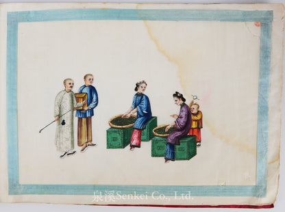 19th Century Canton Export Album – Twelve Rice Paper Paintings of Tea Production, Chinese School