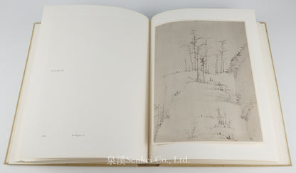 Chinese Painting in Hawaii in the Honolulu Academy of Arts and in Private Collection