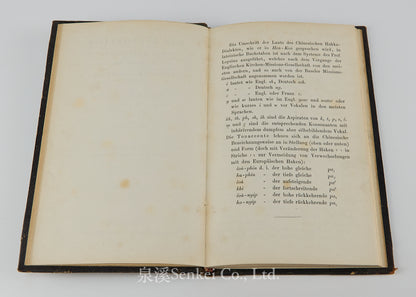 Das Evangelium des Matthaeus im Volksdialekte der Hakka-Chinesen : Ma, thai ̀tšhon, fuk, yim, šu, hak, ka, syuk, wa ̀| The Gospel of Matthew in romanized Hakka Chinese 1860