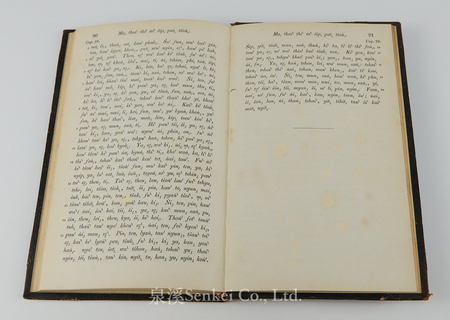 Das Evangelium des Matthaeus im Volksdialekte der Hakka-Chinesen : Ma, thai ̀tšhon, fuk, yim, šu, hak, ka, syuk, wa ̀| The Gospel of Matthew in romanized Hakka Chinese 1860