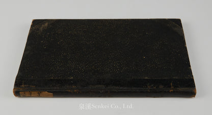Das Evangelium des Matthaeus im Volksdialekte der Hakka-Chinesen : Ma, thai ̀tšhon, fuk, yim, šu, hak, ka, syuk, wa ̀| The Gospel of Matthew in romanized Hakka Chinese 1860