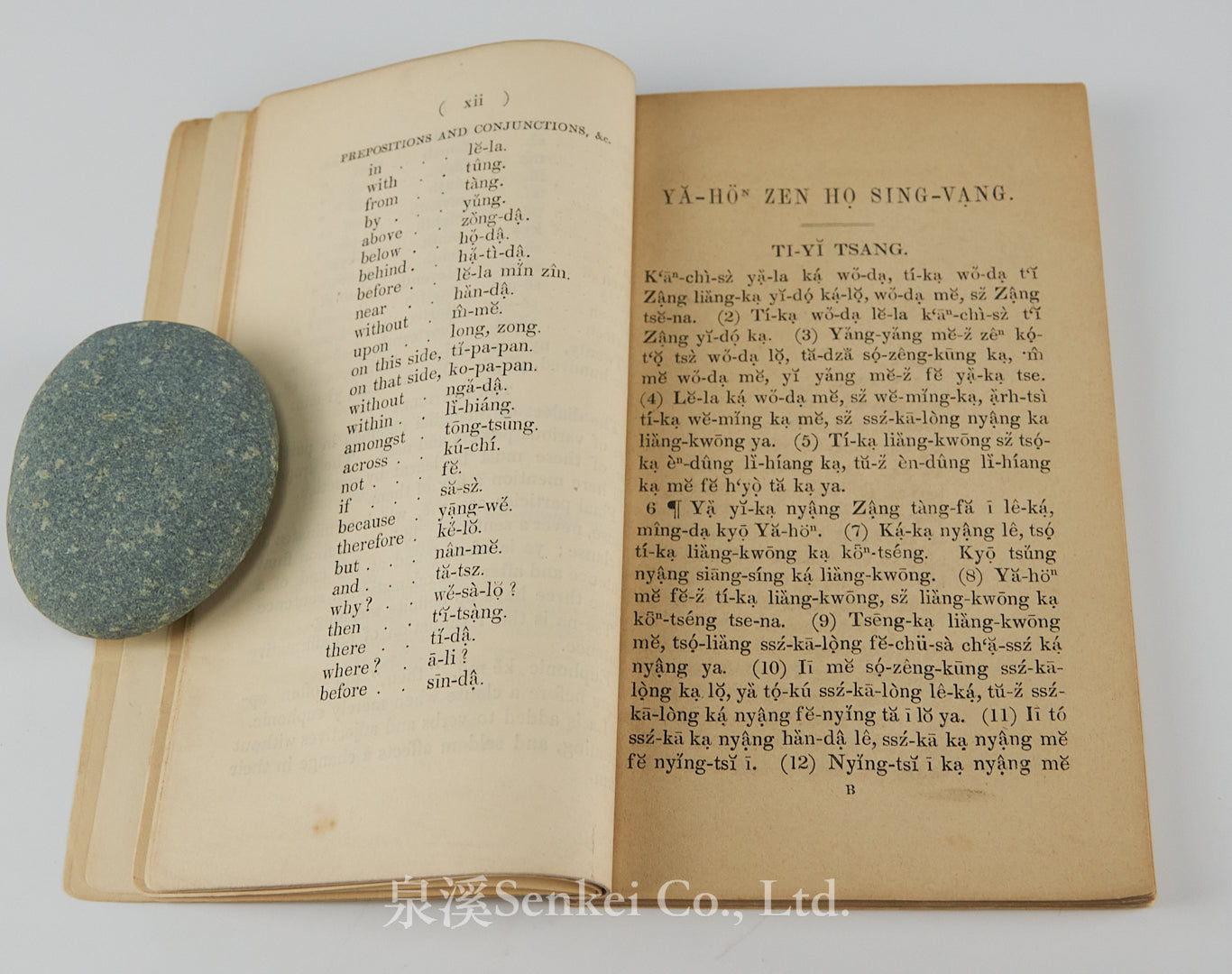 The Gospel of Saint John in the Chinese language, according to the dialect of Shanghai, expressed in the Roman alphabetic character