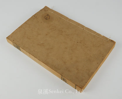 The New Testament (Delegates' Version) | London Missionary Society Press, Shanghai 1858