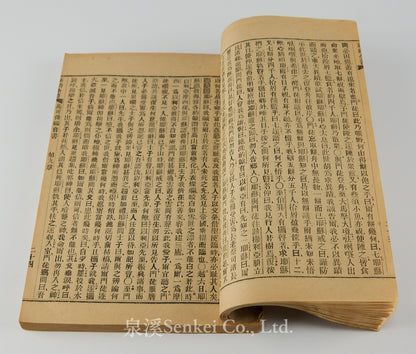 The New Testament (Delegates' Version) | London Missionary Society Press, Shanghai 1858