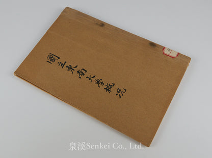 An Outline of the National Southeastern University, ca 1924