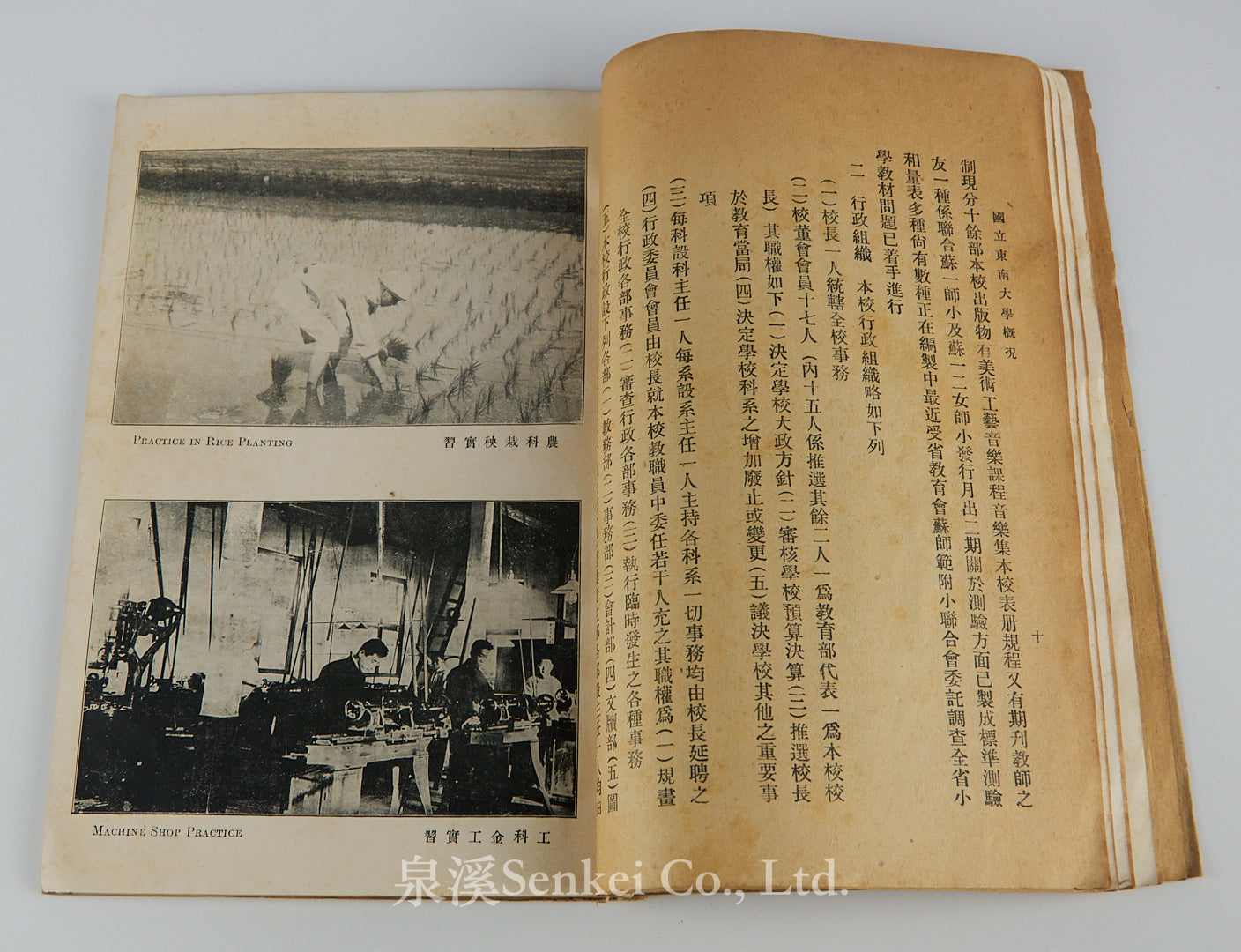 An Outline of the National Southeastern University, ca 1924