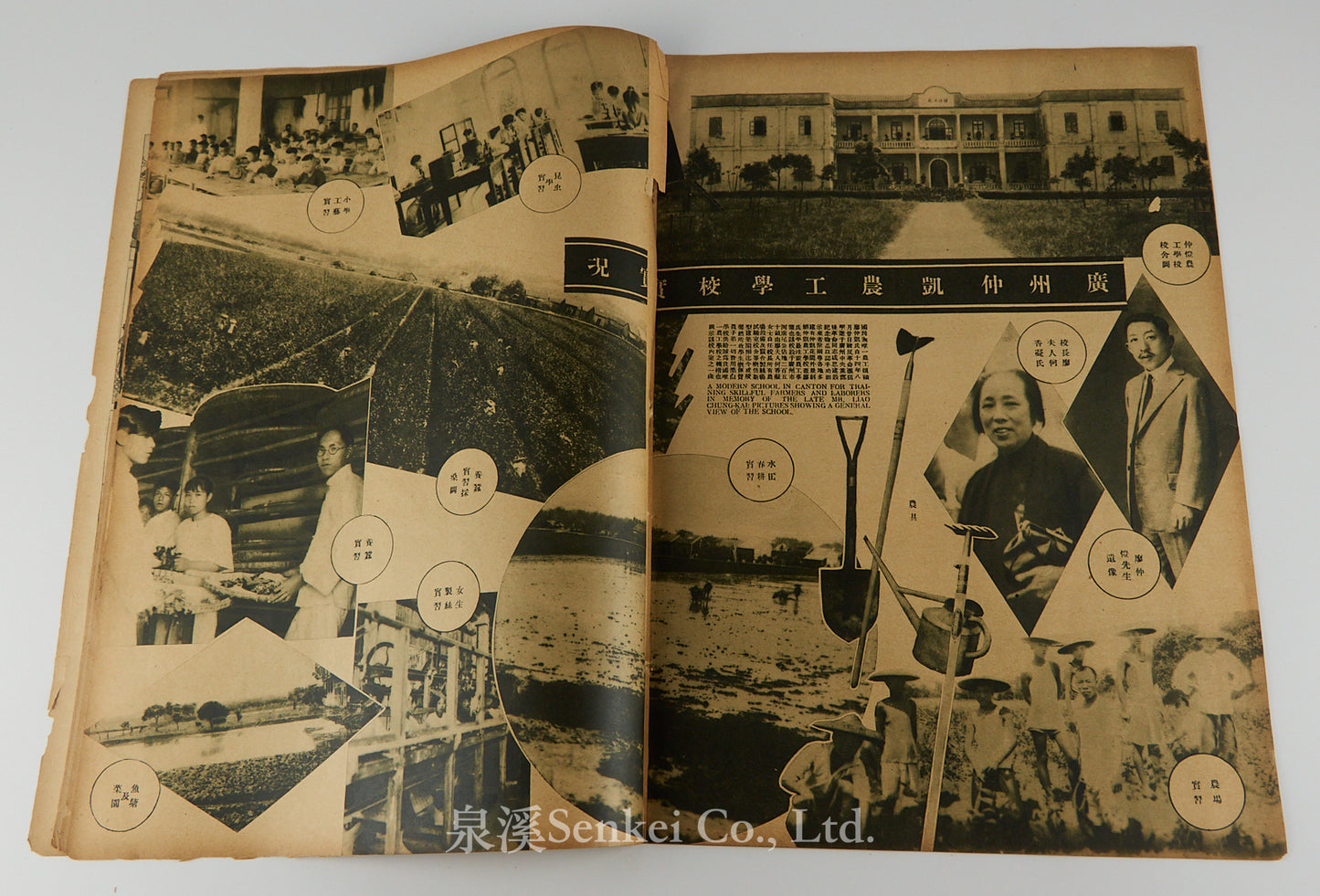 Modern Miscellany (時代). Vol. 4, No. 5. [Shanghai: The Modern Press, 1933]