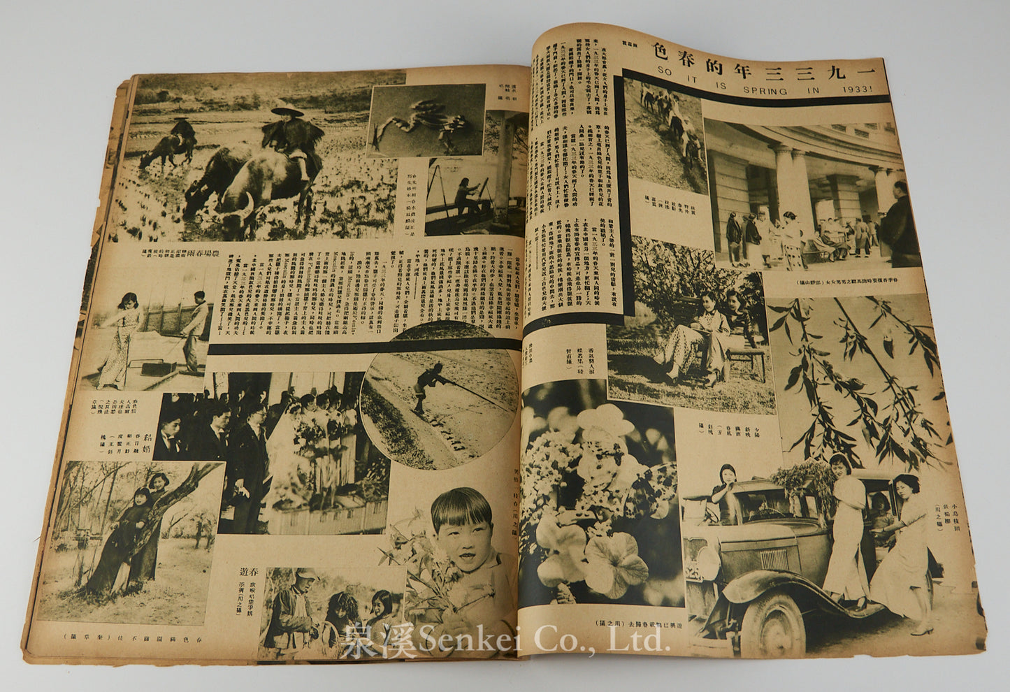 Modern Miscellany (時代). Vol. 4, No. 5. [Shanghai: The Modern Press, 1933]