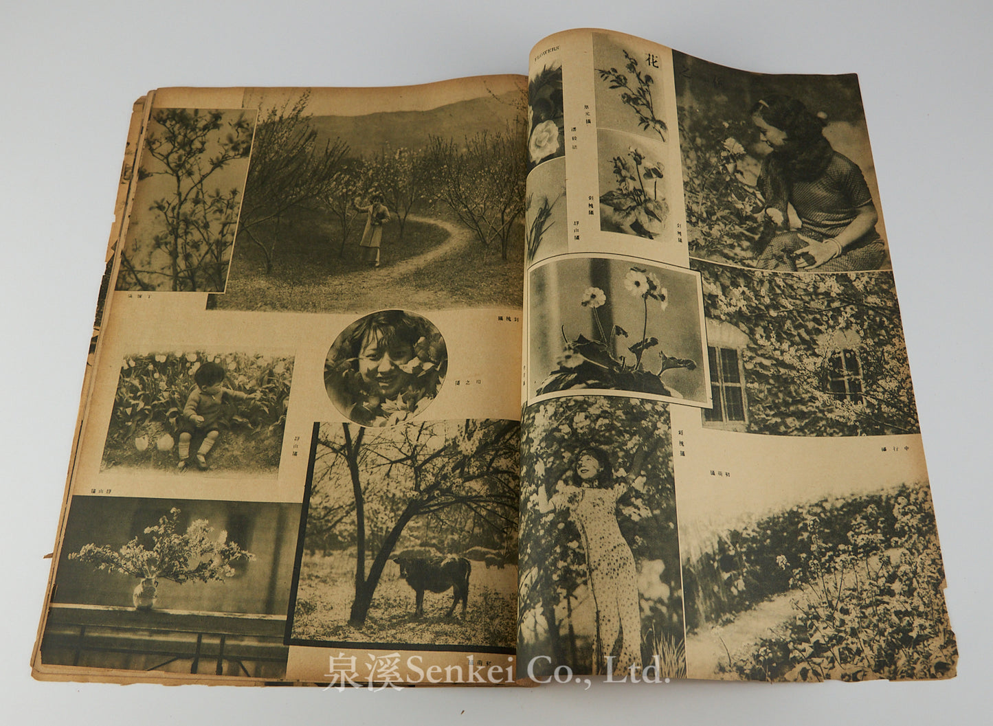 Modern Miscellany (時代). Vol. 4, No. 5. [Shanghai: The Modern Press, 1933]