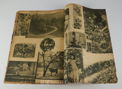 Modern Miscellany (時代). Vol. 4, No. 5. [Shanghai: The Modern Press, 1933]