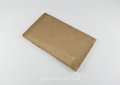 Hexuli Tian Yan Lun 赫胥黎天演論 [Evolution and Ethics] “Pseudo-Lithographic” Edition. 富文書局, 1901.