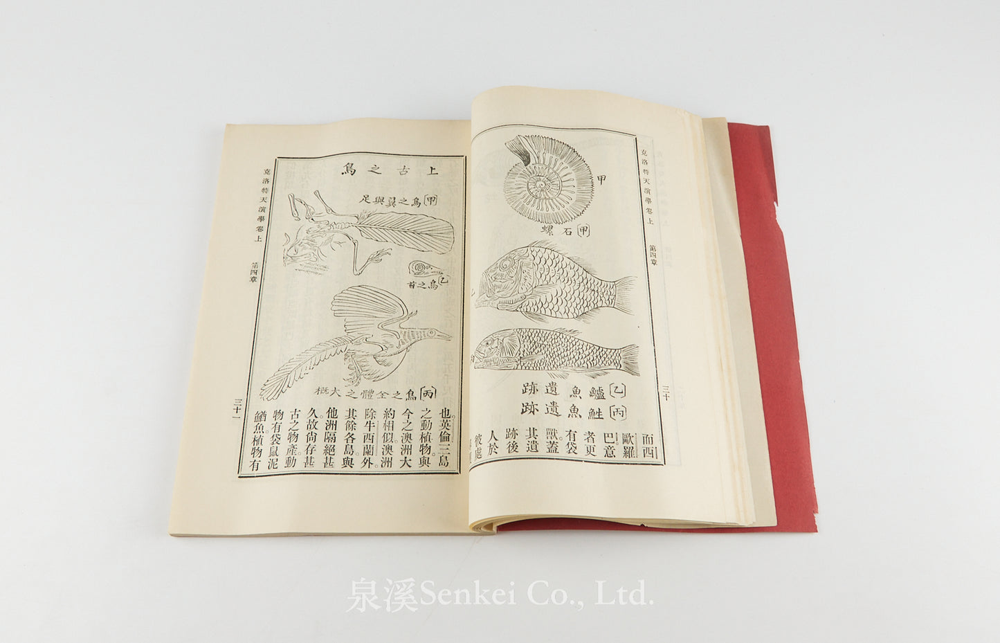 Ke Luo Te Tian Yan Xue 克洛特天演學 [Primer of Evolution] Shansi Imperial University, Methodist publishing house, Shanghai, 1905