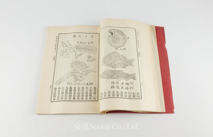 Ke Luo Te Tian Yan Xue 克洛特天演學 [Primer of Evolution] Shansi Imperial University, Methodist publishing house, Shanghai, 1905