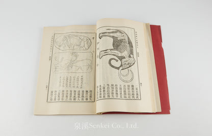 Ke Luo Te Tian Yan Xue 克洛特天演學 [Primer of Evolution] Shansi Imperial University, Methodist publishing house, Shanghai, 1905