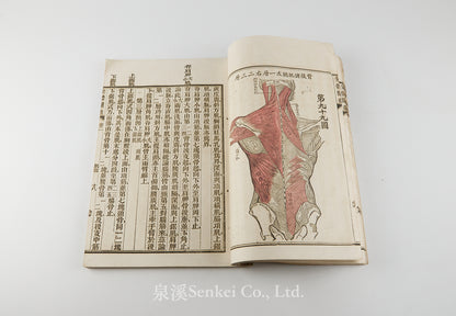 Quan Ti Chan Wei 全體闡微 [Anatomy descriptive and surgical in six volumes] 福州聖教醫舘, Foochow, 1881