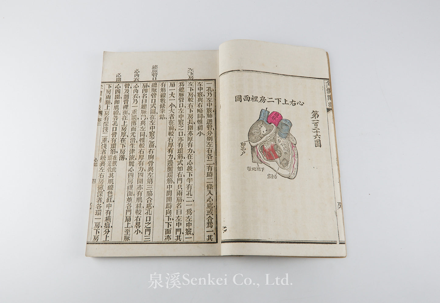 Quan Ti Chan Wei 全體闡微 [Anatomy descriptive and surgical in six volumes] 福州聖教醫舘, Foochow, 1881