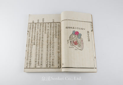 Quan Ti Chan Wei 全體闡微 [Anatomy descriptive and surgical in six volumes] 福州聖教醫舘, Foochow, 1881