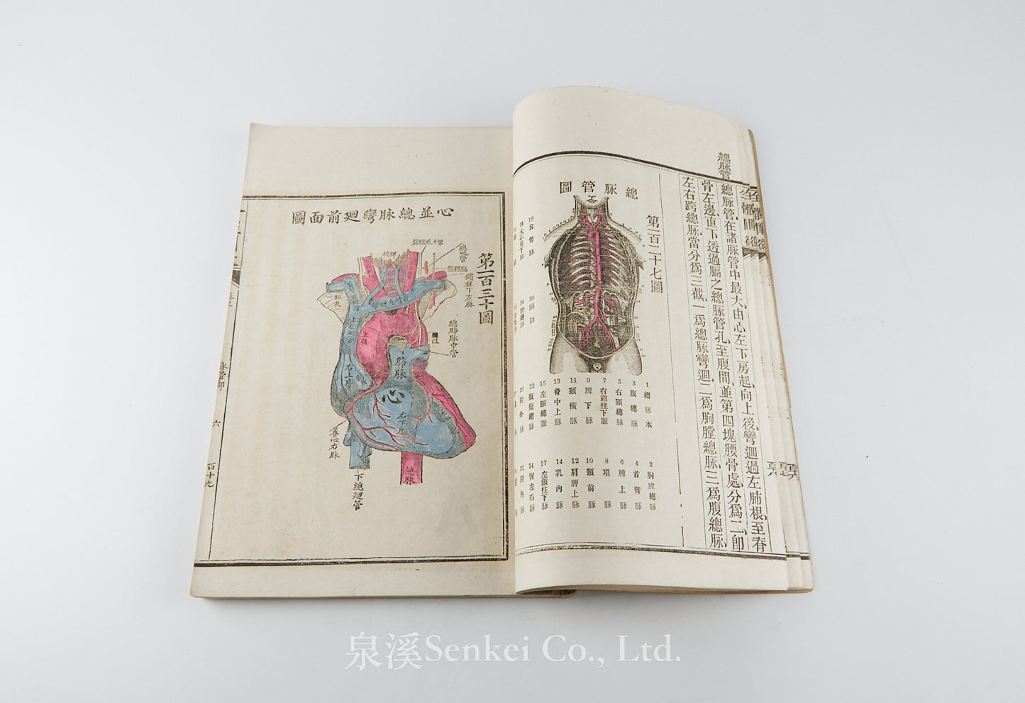 Quan Ti Chan Wei 全體闡微 [Anatomy descriptive and surgical in six volumes] 福州聖教醫舘, Foochow, 1881