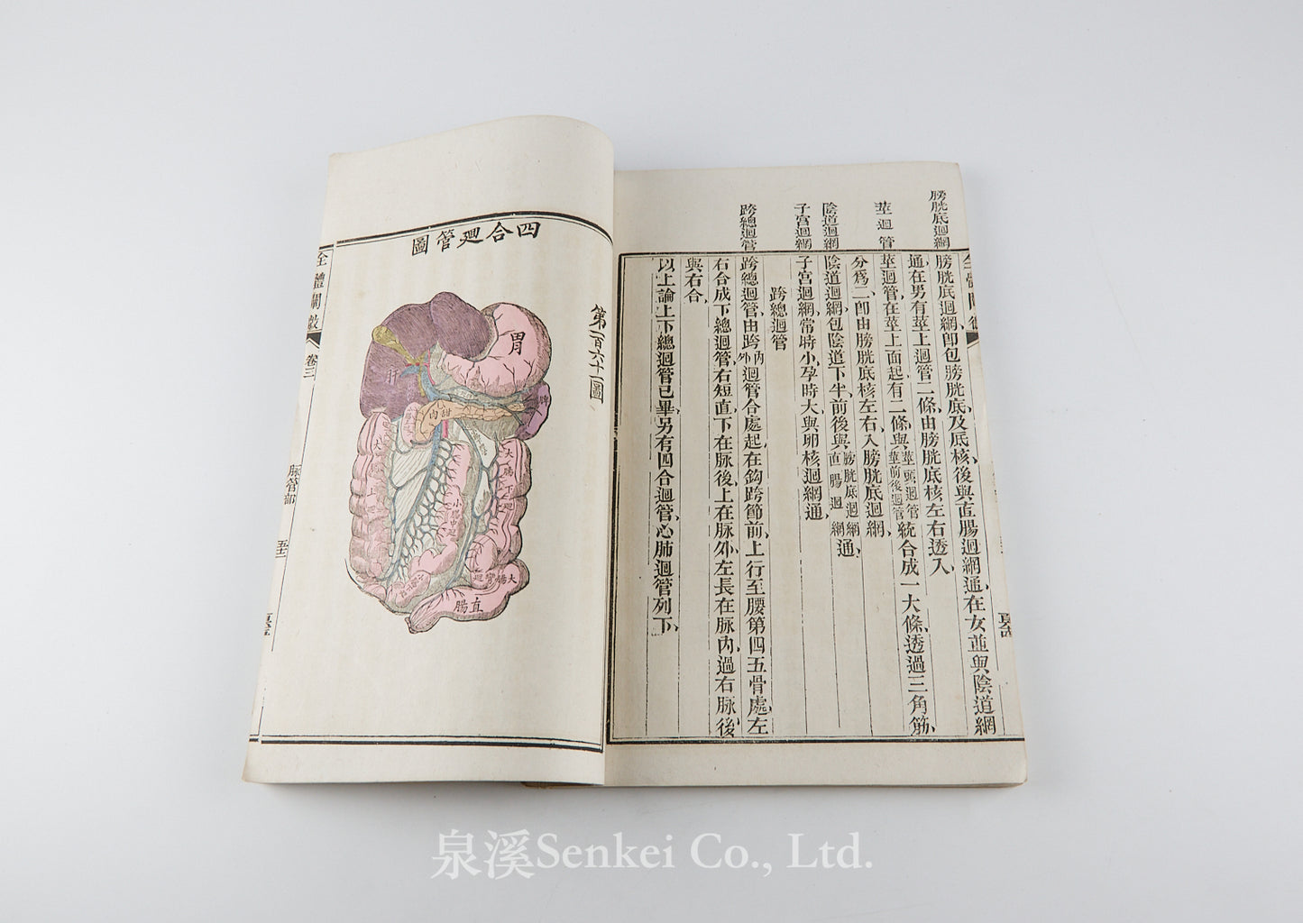 Quan Ti Chan Wei 全體闡微 [Anatomy descriptive and surgical in six volumes] 福州聖教醫舘, Foochow, 1881