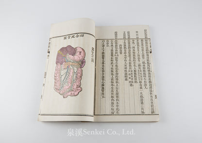 Quan Ti Chan Wei 全體闡微 [Anatomy descriptive and surgical in six volumes] 福州聖教醫舘, Foochow, 1881