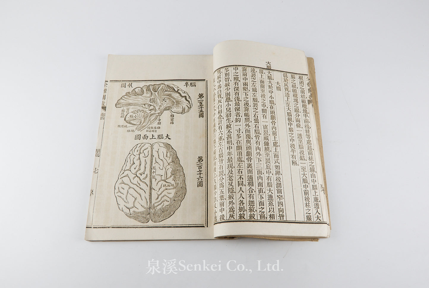 Quan Ti Chan Wei 全體闡微 [Anatomy descriptive and surgical in six volumes] 福州聖教醫舘, Foochow, 1881