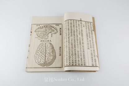 Quan Ti Chan Wei 全體闡微 [Anatomy descriptive and surgical in six volumes] 福州聖教醫舘, Foochow, 1881