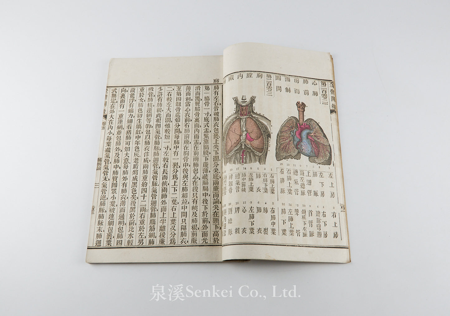 Quan Ti Chan Wei 全體闡微 [Anatomy descriptive and surgical in six volumes] 福州聖教醫舘, Foochow, 1881